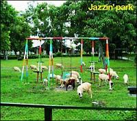 JAZZIN'PARK