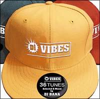 Di VIBES�`Japanese Reggae Selection 2006�`