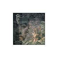 �p�[�`�h�E�E�B�Y�E�T�[�X�g�E�A���E�A�C�E�A���h�E�_�C�C���O