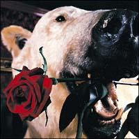 �t���J���̃t�F�C�N�ł�����+�������܂��傤+7