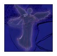 �U�E�t�H�[�E�g�D���[�Y