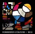 FORBIDDEN COLORS