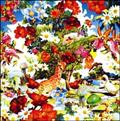 Wild Flowers(ʏ)