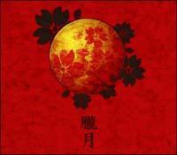 �yMAXI�z�O��(�}�L�V�V���O��)