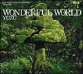 WONDERFUL WORLD(�ʏ��)