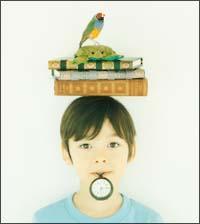 �yMAXI�z�q�J���~���C(�}�L�V�V���O��)