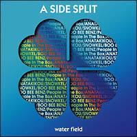 yMAXIzA SIDE SPLIT Vol.2`water field`(}LVVO)