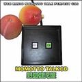 MOMOTTO TALK CD 쓇