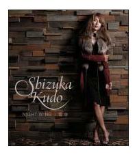 �yMAXI�zNIGHT WING/��P(�}�L�V�V���O��)