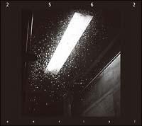 �G�A���A��-�W���p���E�G�f�B�V����-