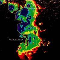 �yMAXI�z�f�B�y���f���X-�ˑ���-(C)(�}�L�V�V���O��)