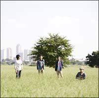 �yMAXI�z���̋��̒�����(�ʏ��)(�}�L�V�V���O��)