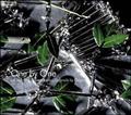 One by One kzk sound track from adidas originals by originals