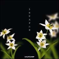 �yMAXI�z�g���P�X�^�j�J(�}�L�V�V���O��)