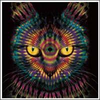 �yMAXI�zPlayear(�ʏ��)(�}�L�V�V���O��)