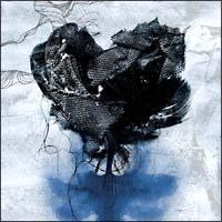 silk tree.(�ʏ��)