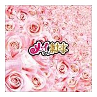 ���C�����̎���