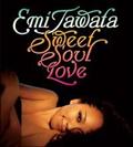 Sweet Soul Love
