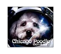 �yMAXI�zODYSSEY(�}�L�V�V���O��)