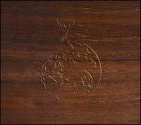 �n�J�����_