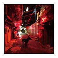 �yMAXI�zBlack Market Blues e.p.�i�}�L�V�V���O���j