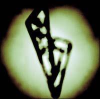 �yMAXI�zBACK ON MY FEET(�ʏ��)�i�}�L�V�V���O���j