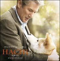 HACHI 񑩂̌