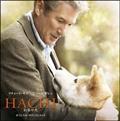 HACHI 񑩂̌