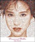 Diamond Bible(ʏ)@yPart.1zyDisc.1&Disc.2z