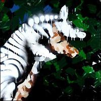 GOZMEZ LAND�`CHAOSEXOTICA�`