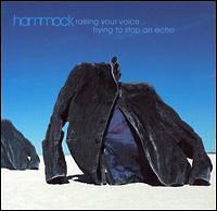 Raising Your Voice...Trying to Stop An Echo