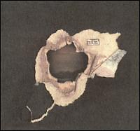 T}[ECNEObh