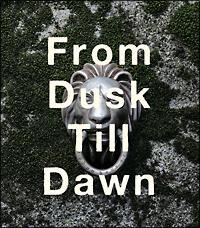 �yMAXI�zFrom Dusk Till Dawn(�}�L�V�V���O��)