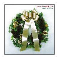 �yMAXI�z�����o���h�}���ɗ��Ȃ�Ă��Ȃ�(�ʏ��)(�}�L�V�V���O��)