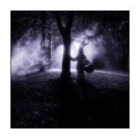 �yMAXI�z���m�[���}�C(�}�L�V�V���O��)