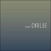 VOICE