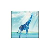 ��z�p�h��