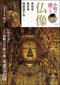 �����̊����镧���@���J���E�������E���쑷�q����