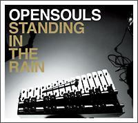 �X�^���f�B���O�E�C���E�U�E���C��