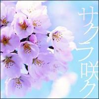 �yMAXI�z�T�N����N(�}�L�V�V���O��)