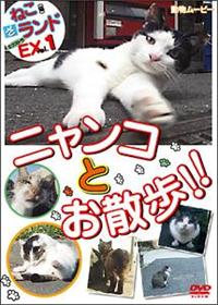 �������[�r�[�@�˂��i�L�j�@���@�����h�@�G�N�X�g���P�@�j�����R�Ƃ��U���I