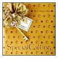 Special Calling `session 2`