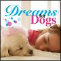 Dreams for Dog
