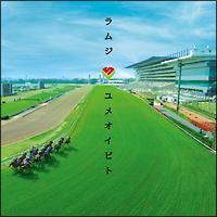 �yMAXI�z�����I�C�r�g(�}�L�V�V���O��)