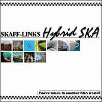 Hybrid SKA