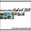 Hybrid SKA