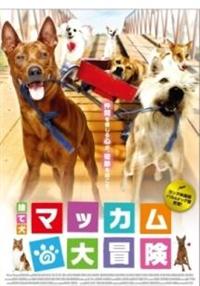 �̂Č��}�b�J���̑�`��