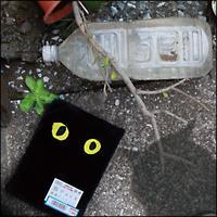 �L Pack(�ʏ��)