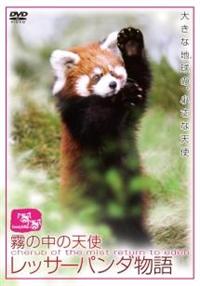 ���̒��̓V�g�^���b�T�[�p���_����