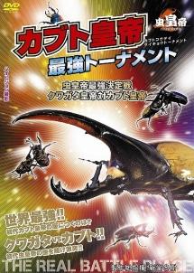 甲虫類世界最強決定戦 クワガタ×カブトムシ DVD - DVD/ブルーレイ